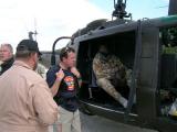 Pictures of HUEY 509 - Set 1